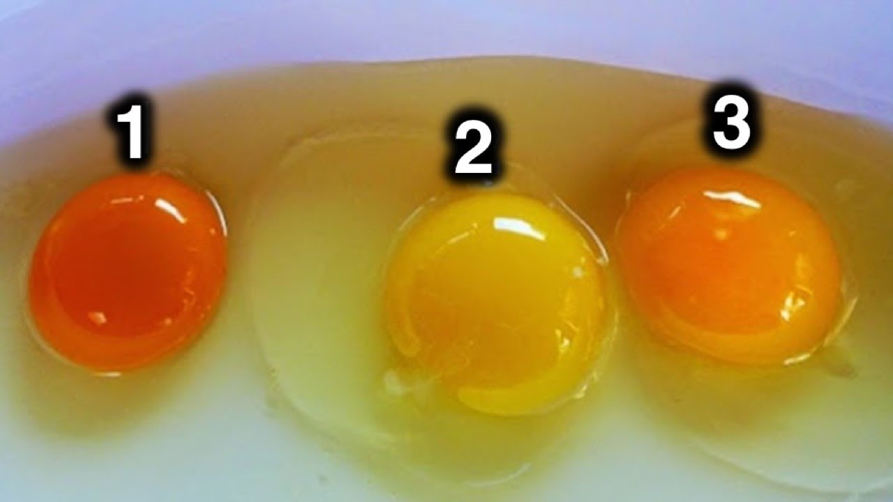 How to Choose Healthy Eggs for Cooking.