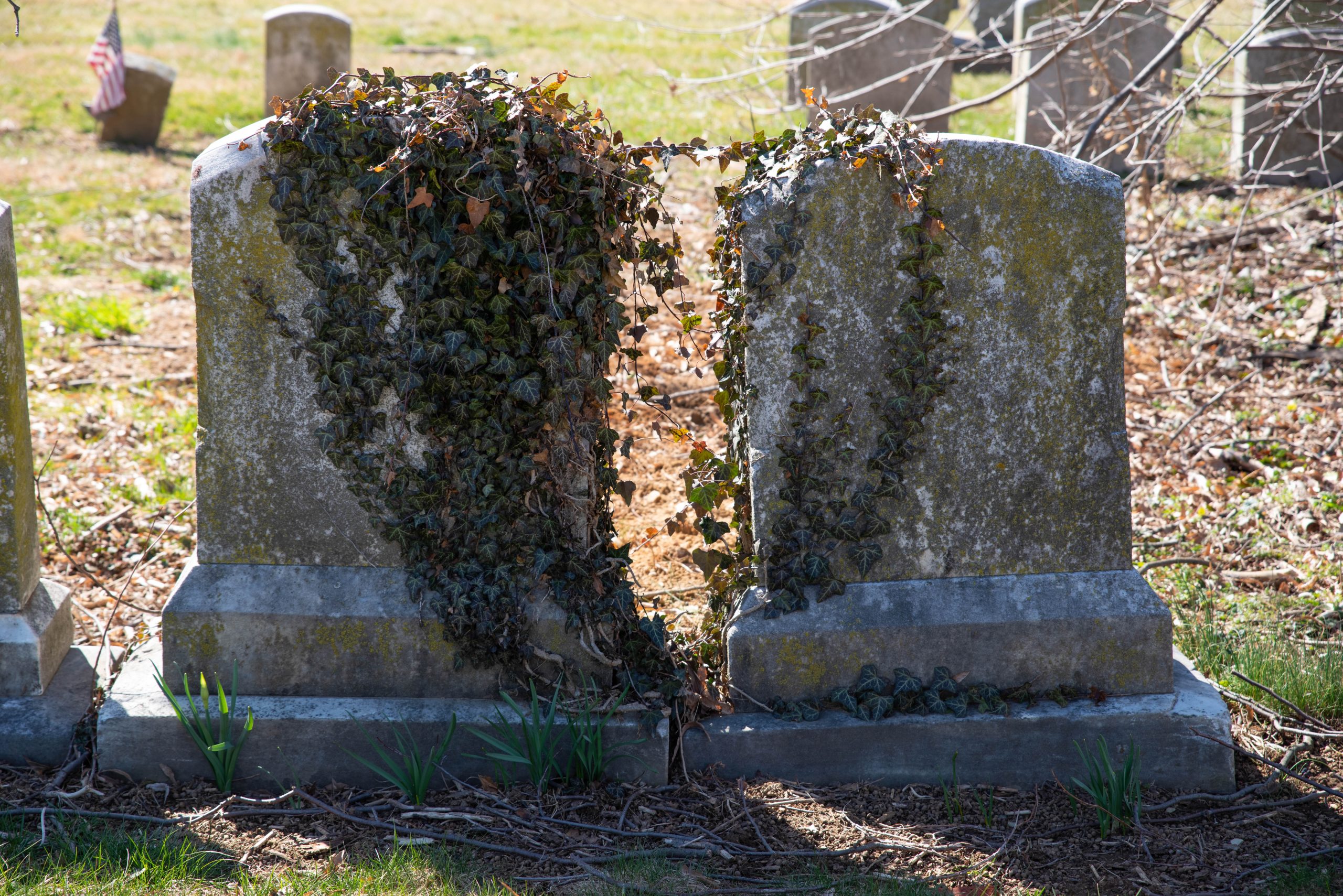 Adults Ignore Grandpa’s Neglected Grave, Boy Cleans It and Finds Engraved Coordinates – Story of the Day