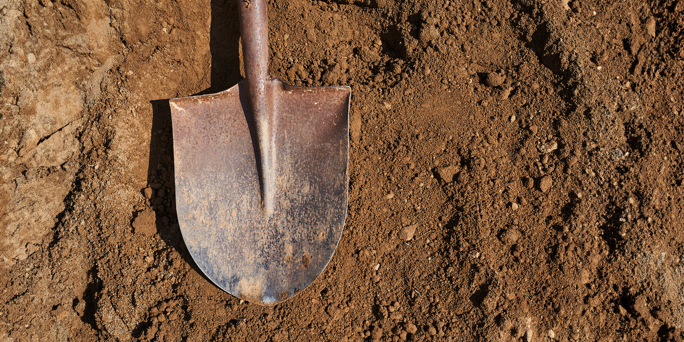 I Came Home from Vacation to Find a Huge Hole Dug in My Backyard – I Wanted to Call the Cops until I Saw What Was at the Bottom