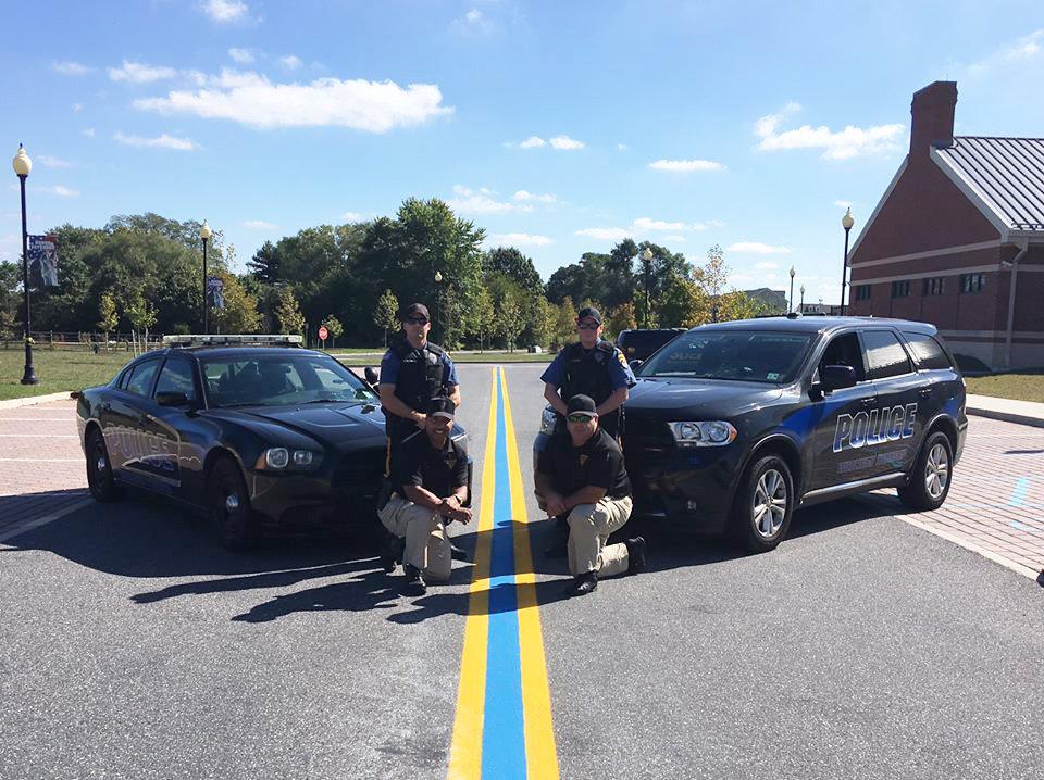 If You’ve Noticed A Blue Line Painted On The Street, Here’s What It Means