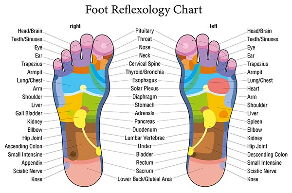 Press These Points for Wherever You Have Pain – Every Body Part is Linked to Your Palm and Foot